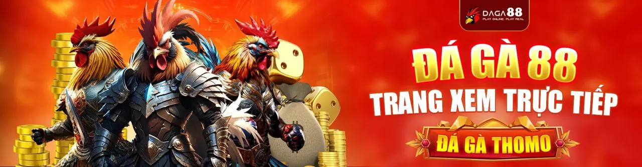 Hình ảnh chính về cá cược đá gà 44win55