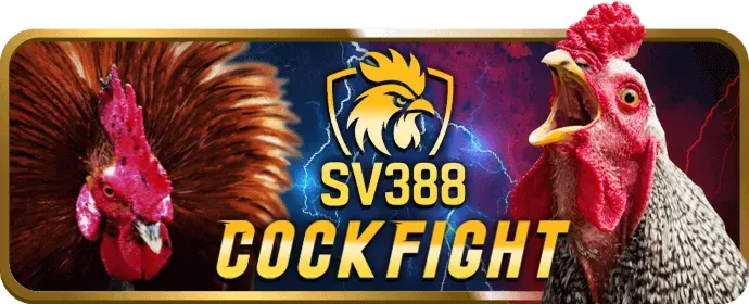 Đá gà trực tuyến 44win55 App